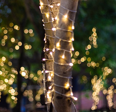 Wintertuin verlichting winterterras lichtsnoer boom prikkabel kerst versiering tuin in de winter decoratie licht
